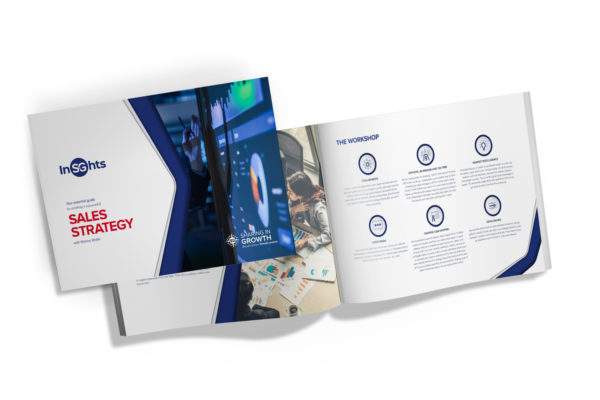 Sales strategy guide