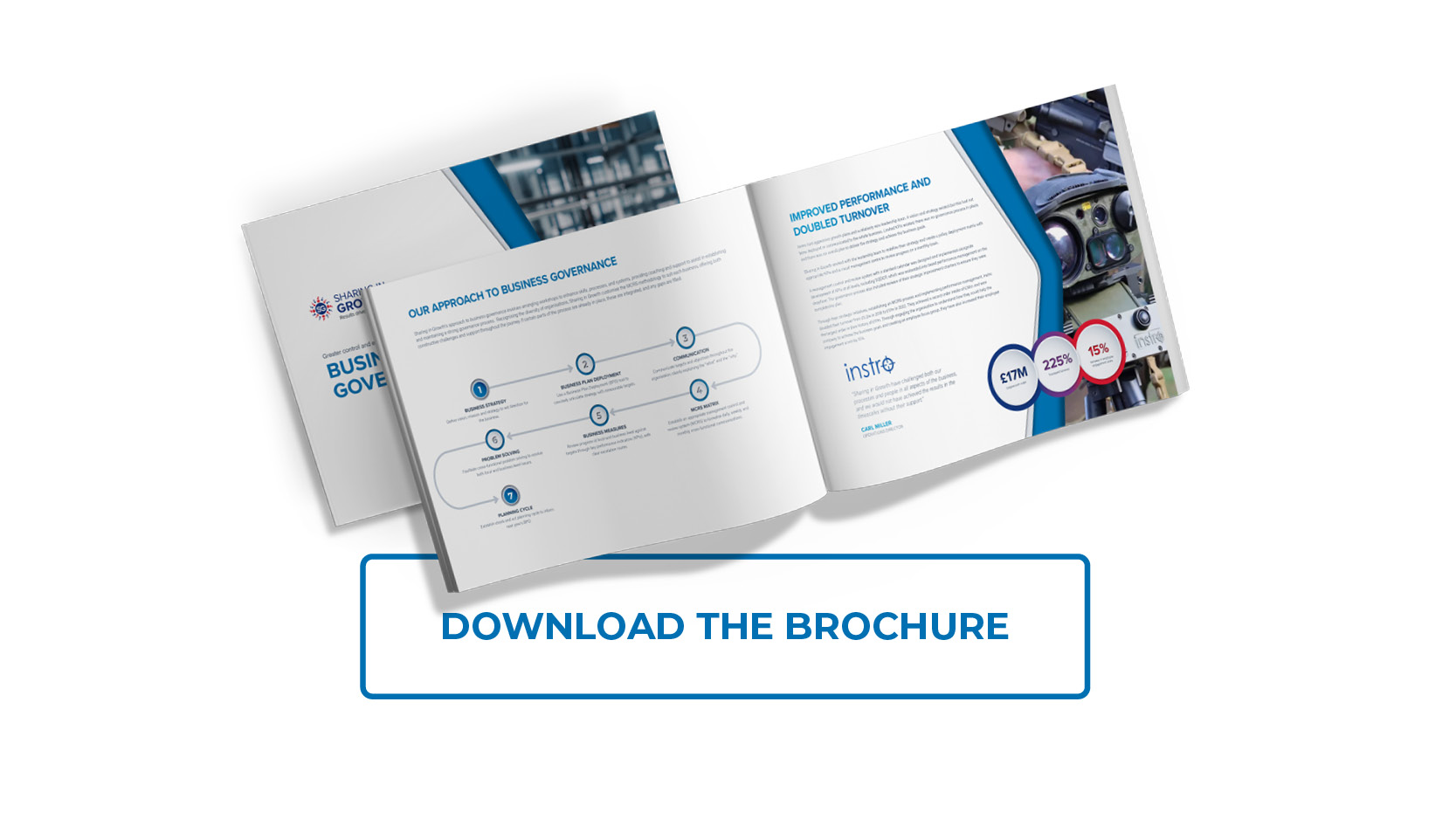 Business Governance Brochure download