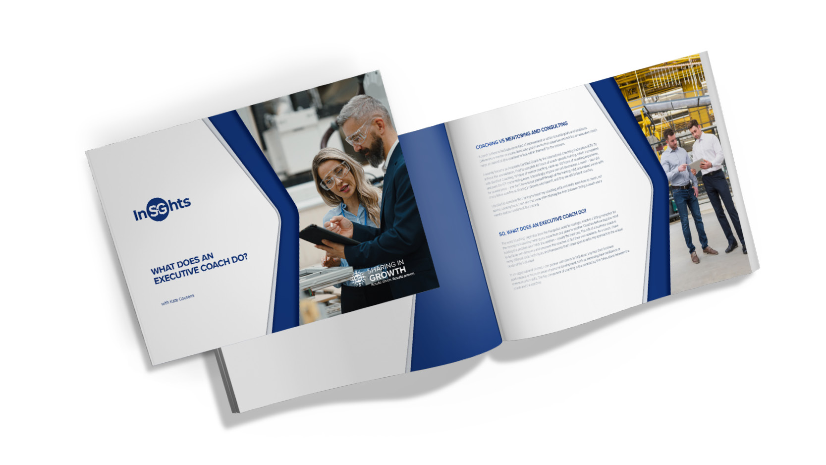 Executive Coaching Guide mockup